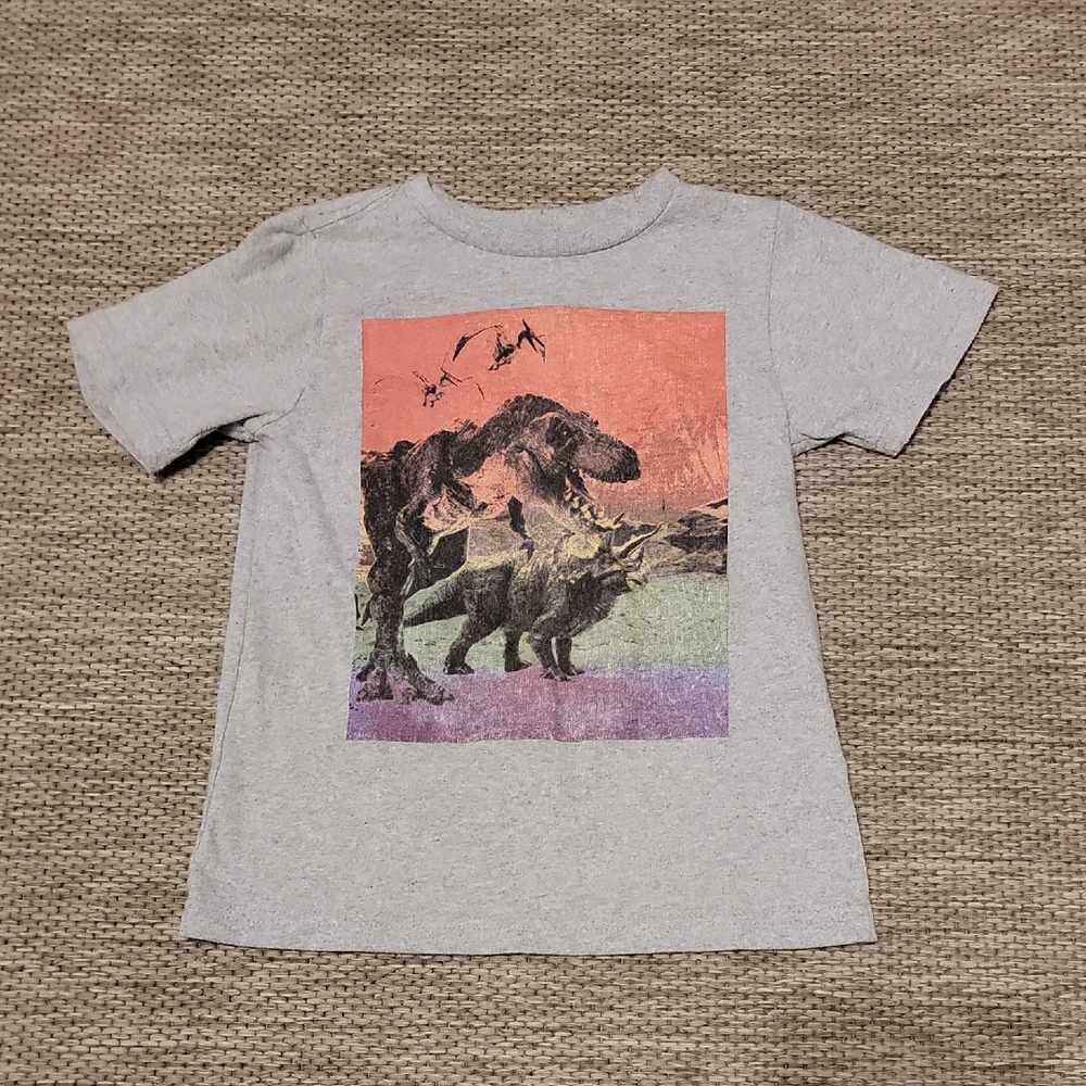 Copper Denim Gray Dinosaur Graphic Kids T-Shirt Size 6